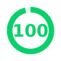 PageSpeed Insights